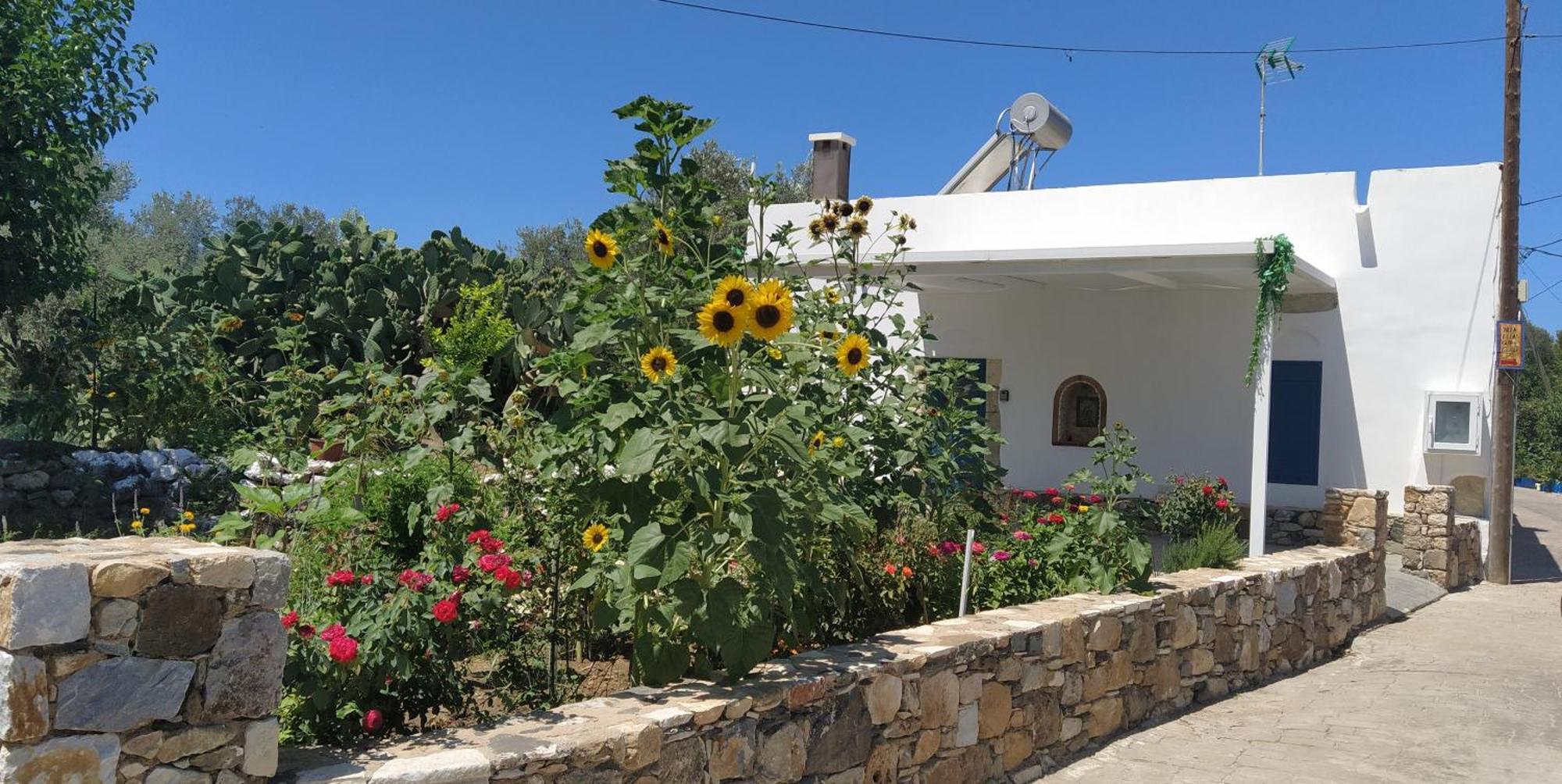 Grandpa's Place Vakantiehuis *